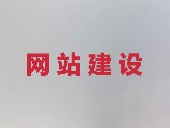 天津网站设计开发